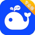 WorkPlus SE专业版 V7.0.1下载