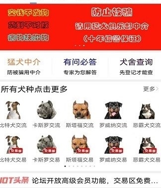 猛犬俱乐部app1