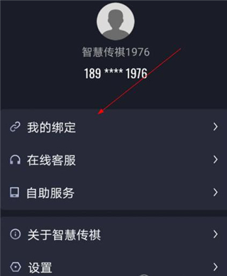 智慧传祺图片7