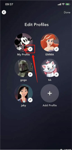 disney+6