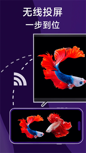 雨燕投屏app截图