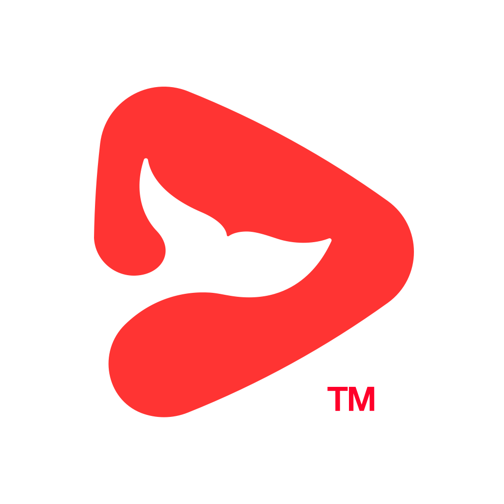 锦书在线免费版