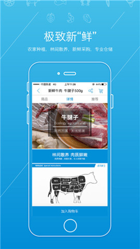 虾笨鲜生APP v2.6.0