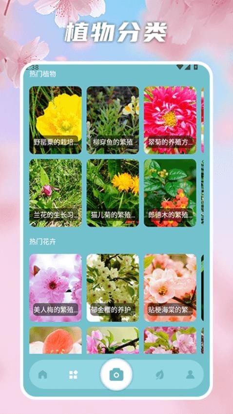 我爱开花 v1.2安卓版下载
