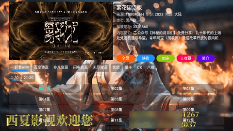 西夏家庭影院电视盒子版