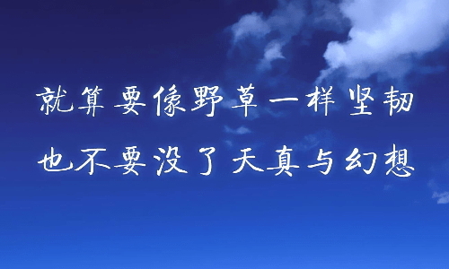 追剧猫TV版最新
