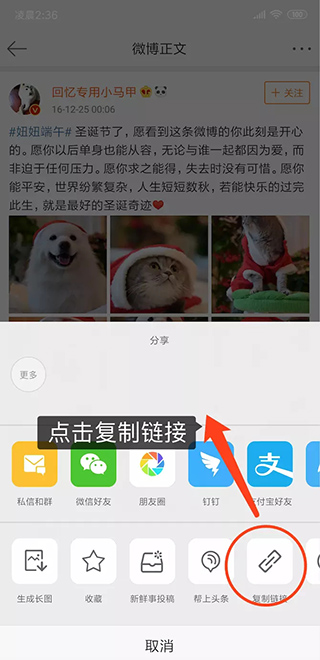 便携下载高级版4