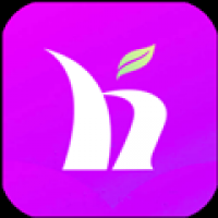 盒子市场TV版下载