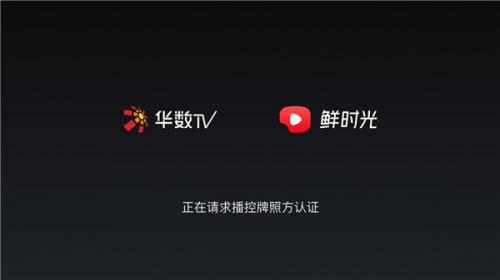 西瓜视频电视版