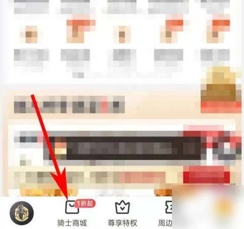 全球购骑士特权9