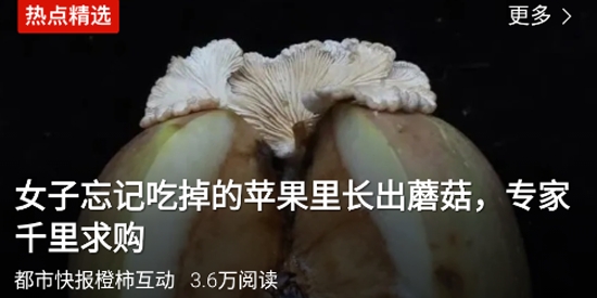 腾讯新闻app最新版