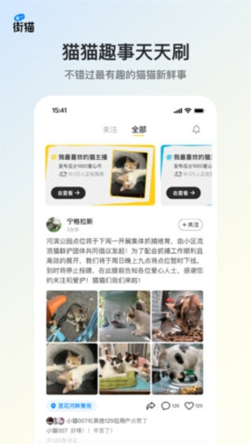 哈啰街猫