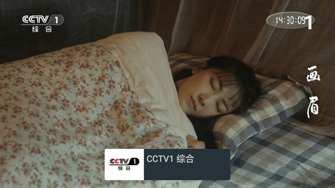 龙电视TV版
