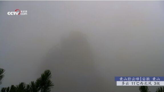 秒看电视HD纯净版截图