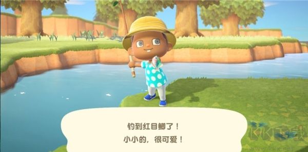 动物森友会