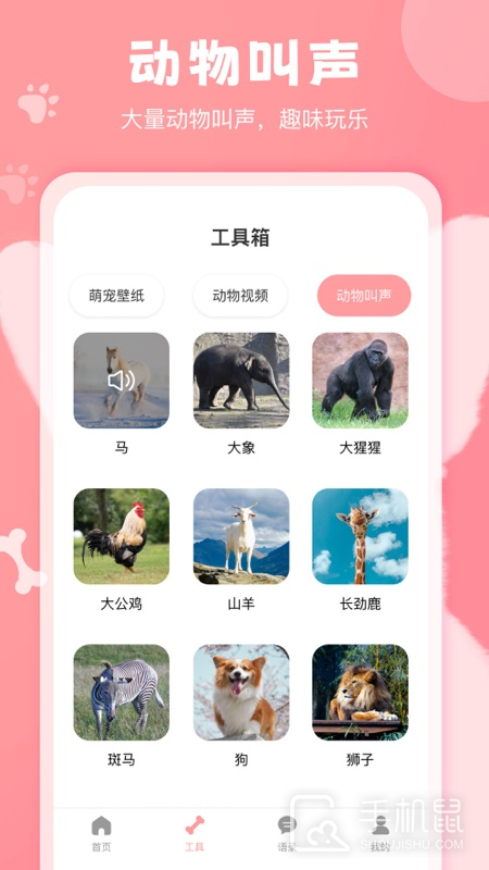 狗语翻译器 v3.0