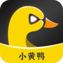 小黄鸭秋葵绿巨人视频解锁版 