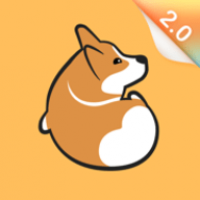 Corgi柯基交友
