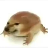 我的刀盾 1.0 最新版