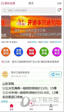 苗木江湖