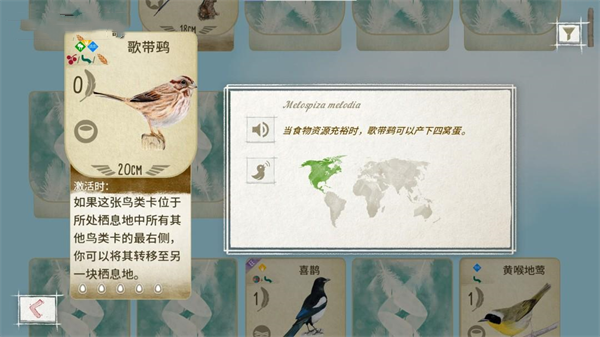 展翅翱翔桌游