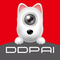 DDPai