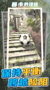 暴走的球球游戏下载  v1.1.6  