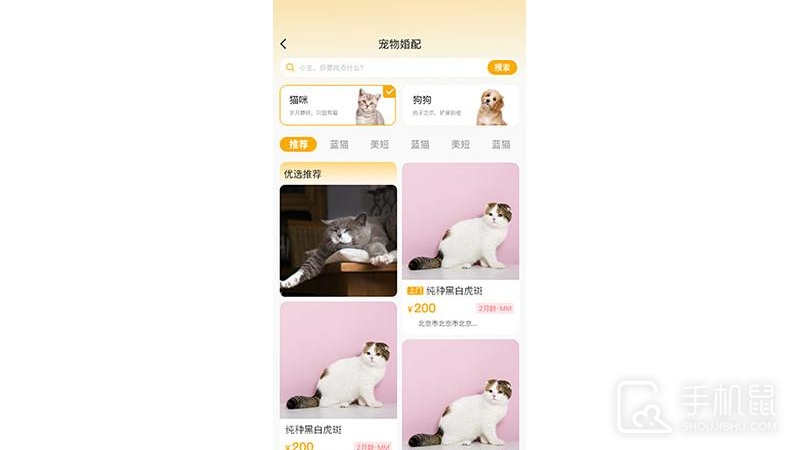 喵鑫球宠物 v2.0.0