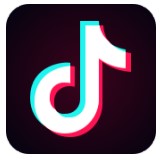 抖音tiktok国际版官方版