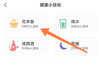 大春之道目标分类