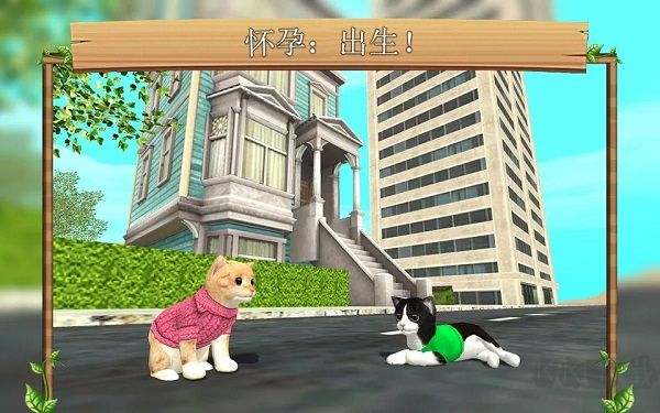 猫咪生存模拟器手机版v216安卓版 