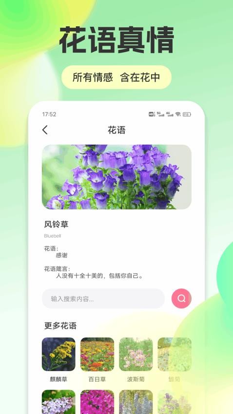 思瓜 v1.0.9安卓版下载