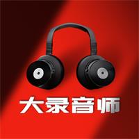 大录音师app下载v1.0.1安卓版
