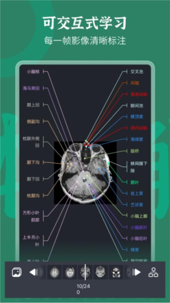 万康人体解剖APP