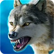thewolf狼族下载 v3.6.4