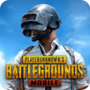 PUBG国际服地铁逃生 v3.8.0