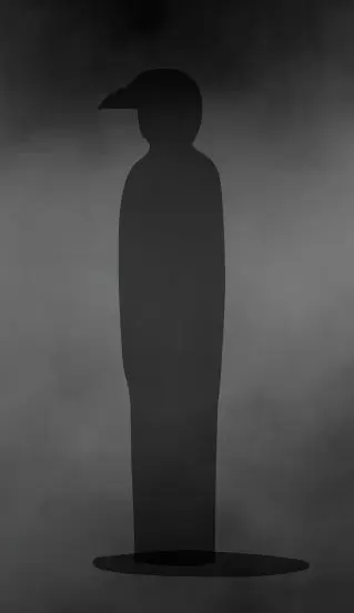 兔子先生的魔术秀