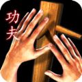功夫宗师2游戏手机版下载 v1.0