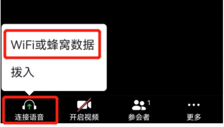 zoom视频会议