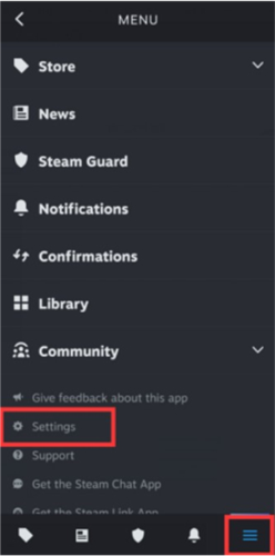 Steam12