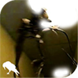TheBackrooms下载 v2.0.1