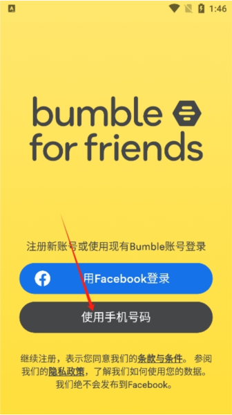 bumble图片7