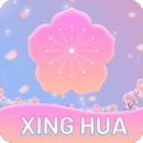 杏花直播正式版v2.1.41.0