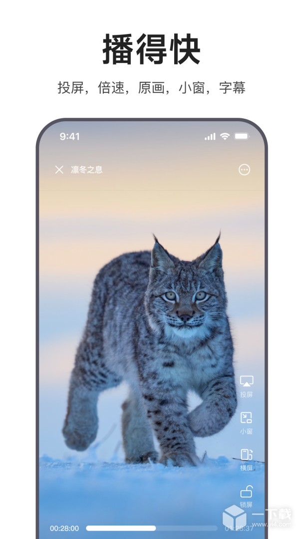 迅雷浏览器 v2.29.1.14425最新版