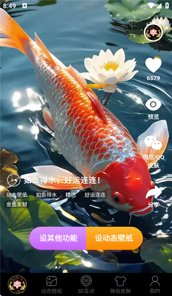荷花锦鲤壁纸app v1.0.13