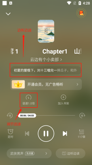 怎么设置听书模式截图3