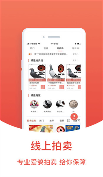搜鸽天下免费版 v1.4.18