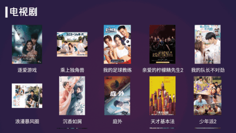 便宜TV电视版去广告版