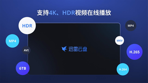 迅雷云盘TV版2025版截图2
