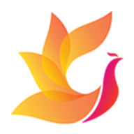 影视工场TV版免费版v1.0.1最新版